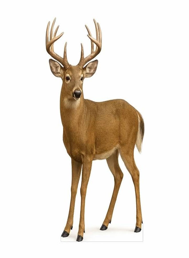 EZISHIPS White Tail Deer 2FT Life Size Cardboard Cutout – A Fun Animal Standup for Photo Booths, Birthday Parties, and Events - Image 1