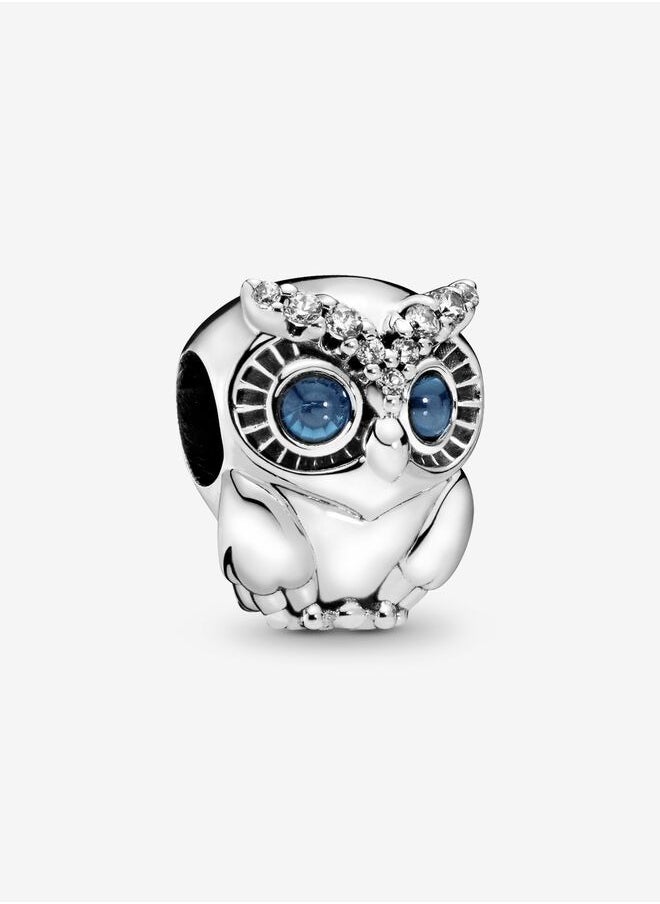 Pandora Sparkling Owl Charm - pzsku/ZA887F9D052C115556340Z/45/_/1720377032/ea820b94-88f9-4fe6-a926-8cbee0b432e7