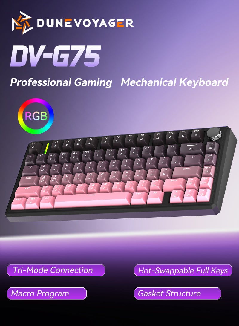 مسافر الكثبان لوحة مفاتيح ألعاب ميكانيكية لاسلكية G75 بإضاءة RGB 16.8 مليون لون وبرنامج ماكرو، تصميم 75% مع 80 مفتاحا، هيكل Gasket، أغطية مفاتيح PBT مزدوجة الحقن، إضاءة خلفية، بطارية 8000mAh، وتبديل سريع لجميع المفاتيح - Image 1