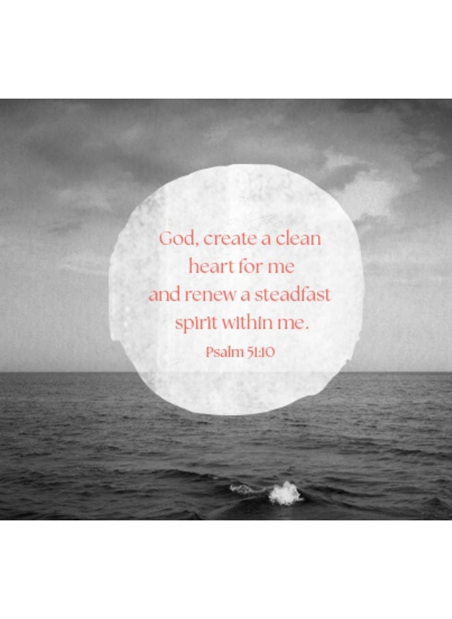 Seamless - Bible Study Book with Video Access  - Image 1