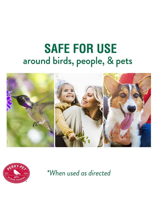 Perky-Pet - Perky-Pet 245L Ant Guard for Hummingbird & Oriole Feeders - Protects Nectar From Ants, Red, Pack of 1 - Image 1