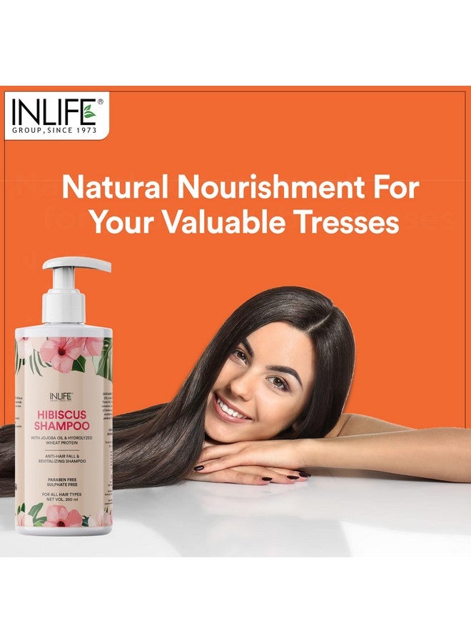 إن لايف شامبو الكركديه من INLIFE | طبيعي من الأيورفيدا | بزيت الجوجوبا وبروتين القمح المحلل | للشعر الجاف والمجعد | خالٍ من البارابين والكبريتات | للنساء والرجال - 250 مل (عبوة من 1، 250 قطعة) - Image 4