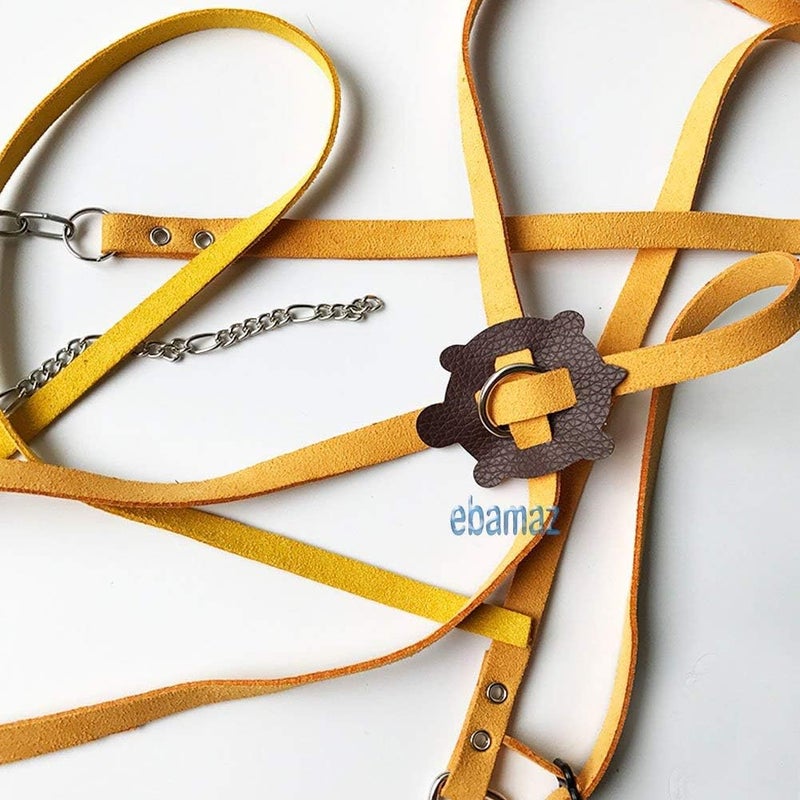 ebamaz Leather Harness Strap for Tortoise/Turtle Pet Walking Lead Control Rope Chest Collar (L) - Image 5