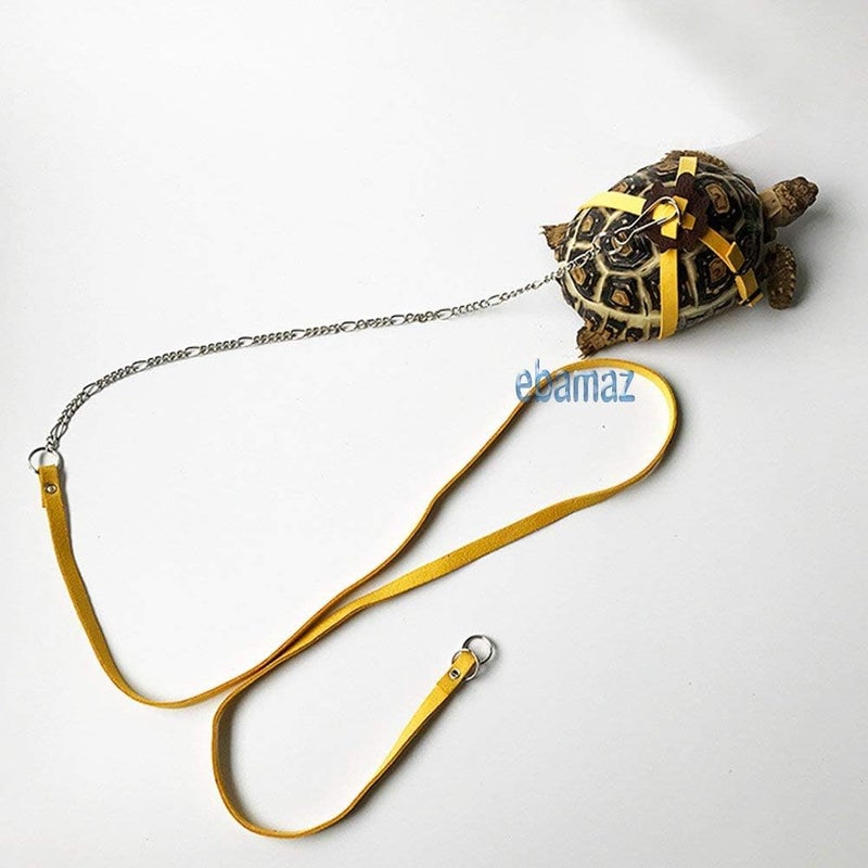 ebamaz Leather Harness Strap for Tortoise/Turtle Pet Walking Lead Control Rope Chest Collar (L) - Image 2