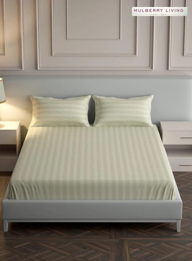 Mulberry Living 100% Cotton King Fitted Bedsheet With 2 Pillow Covers - 300Tc Elysian Stripes - Ivory