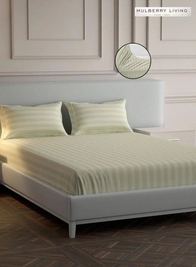 Mulberry Living 100% Cotton King Fitted Bedsheet With 2 Pillow Covers - 300Tc Elysian Stripes - Ivory
