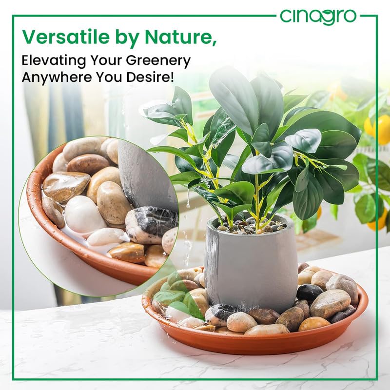 CINAGRO UV Treated 6.5 Inch Round Bottom Trays - Pack of 6, Fits 8 inch Round Pots, Gamla Saucer Plate, Durable Planter Drip Trays for Pots, Round Water Collection Plate for Indoor & Outdoor Plants - Image 5