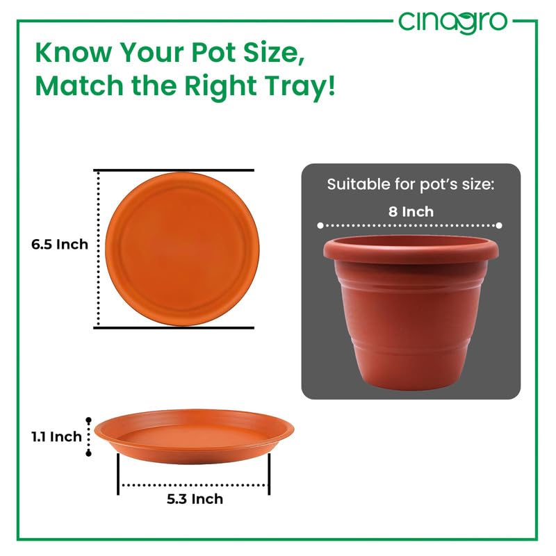 CINAGRO UV Treated 6.5 Inch Round Bottom Trays - Pack of 6, Fits 8 inch Round Pots, Gamla Saucer Plate, Durable Planter Drip Trays for Pots, Round Water Collection Plate for Indoor & Outdoor Plants - Image 3