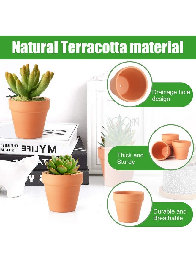 Baxrou Terra Cotta Pots, 24 Pack 3.15 Inch Mini Clay Pot with Drainage Holes,Cactus Flower Nursery Terracotta Pots for Indoor/Outdoor Succulent Plants, Crafts, Wedding Favor - Image 3