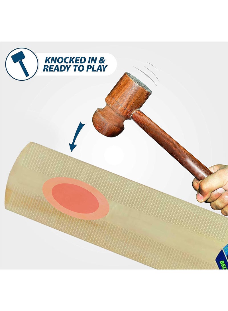 DSC Belter Kashmir Willow Cricket Bat - Image 4