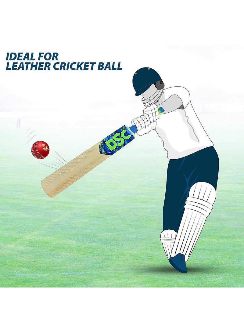 DSC Belter Kashmir Willow Cricket Bat - Image 5