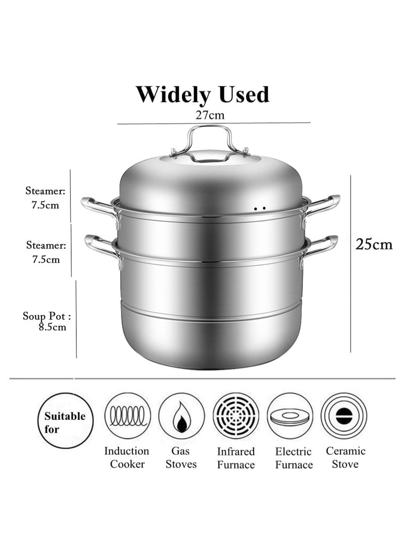 Stainless Steel Steamer,11'' Multi-Layer Cookware Pot with Handle on Both Sides,3-Tier