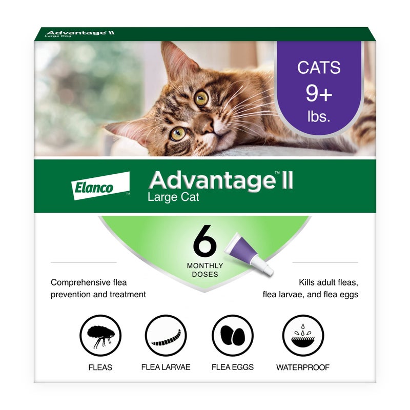 Advantage II Large Cat Vet-Recommended Flea Treatment & Prevention | Cats Over 9 lbs. | 6-Month Supply - Image 1