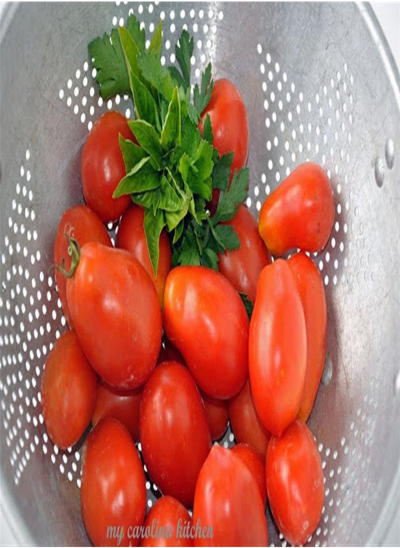 GGOOT RED Plum Italian Heritage Heirloom Long RED Paste Cooking Tomato 20 Organic Seeds Certified  Organic Grower 
