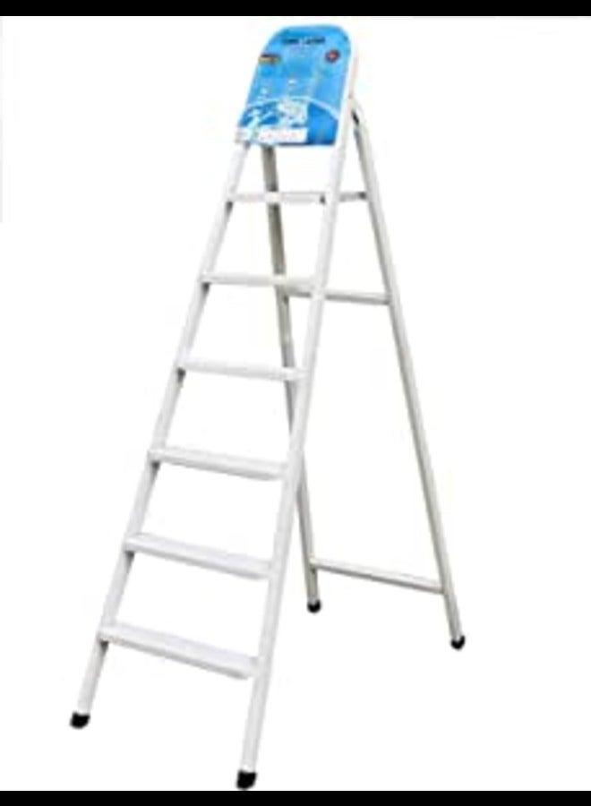 6 Steps Steel Ladder