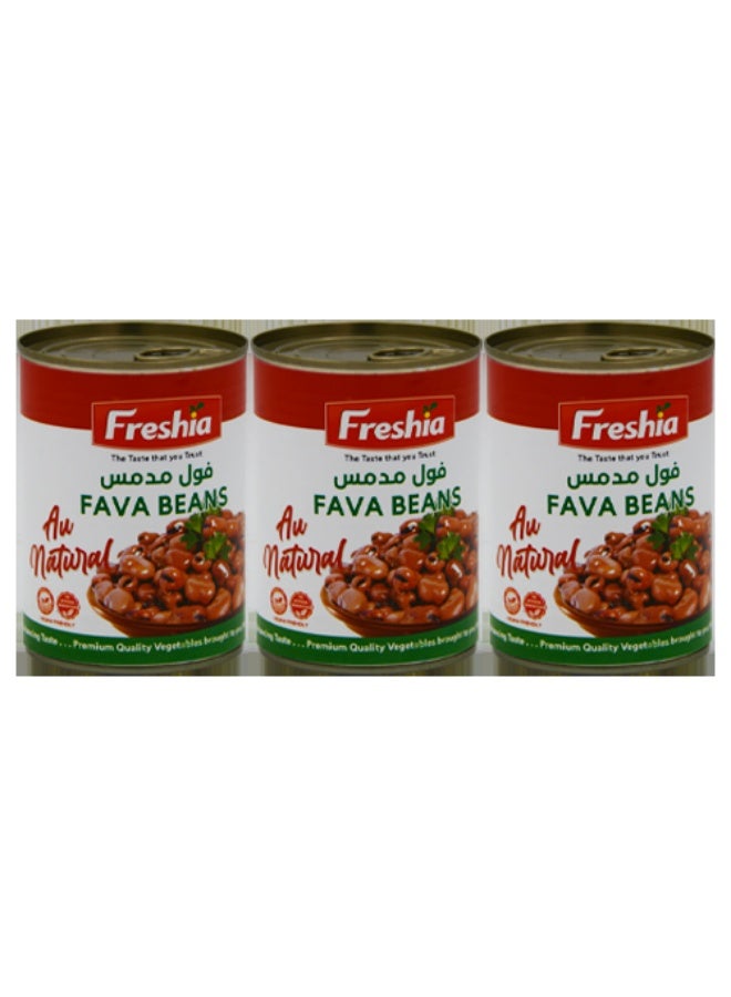 Fava Beans Pack of 3 (400g x 3) | Total 1200g | Broad Beans in Cans | Protein-Rich Legumes | Ready-to-Eat for Salads, Stews & Mediterranean Dishes | Vegan & Gluten-Free