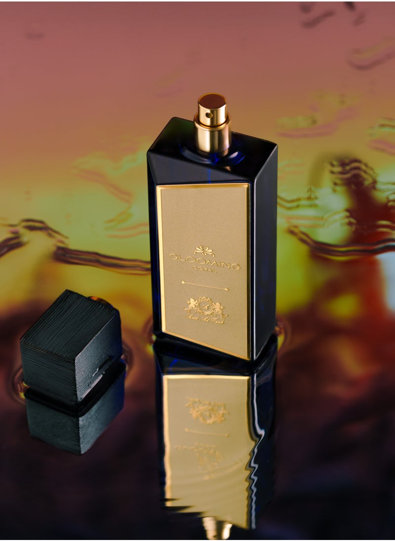 Ard Al Teeb Ard Al Teeb Glooming Coral Eau De Parfum for Male 100 ml  - Image 1