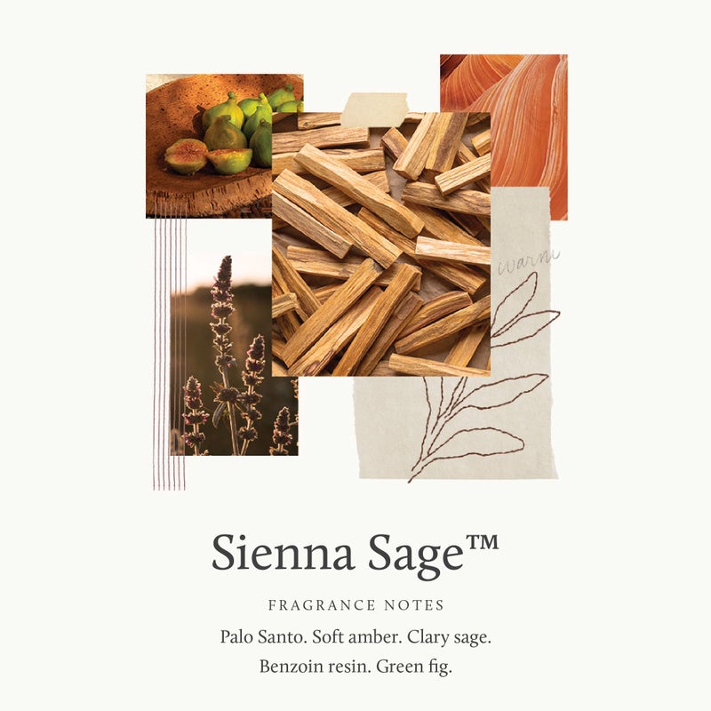 Thymes Sienna Sage Body Lotion - Hand and Body Cream (9.25 fl oz) - Image 3