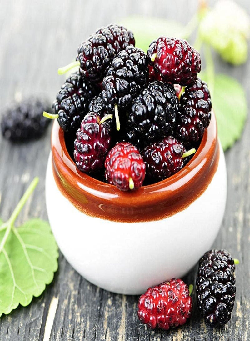 جي جوت 200 قطعة من بذور التوت المتنوعة، ثمار شجيرة التوت البري اللذيذة والعصرية، مناسبة للزراعة في الحدائق الخارجية، زراعة بسيطة، مناسبة لجميع البستانيين - Image 3