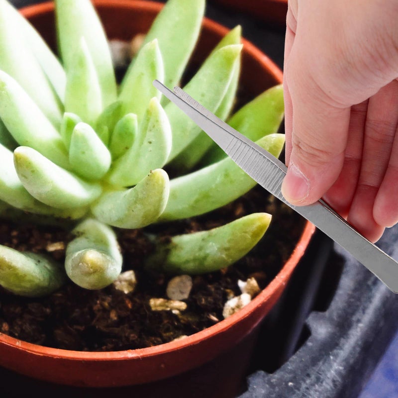 Long Handle Stainless Steel Garden Tweezers Set Serrated Tips for Succulents Bonsai Planting - Image 5