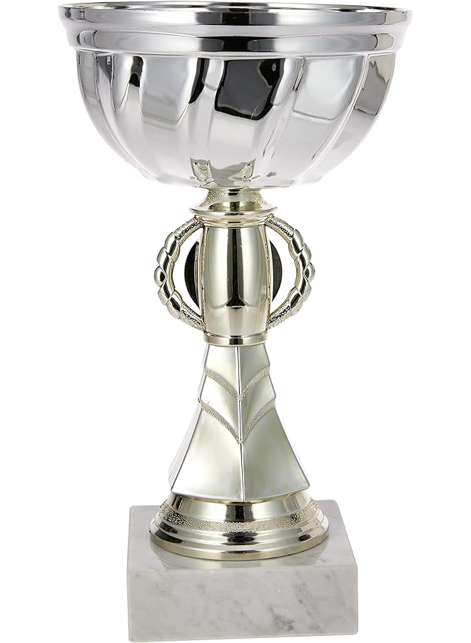 PROMASS TA Sports 49805 Trophy Cup, 24.5 cm Height