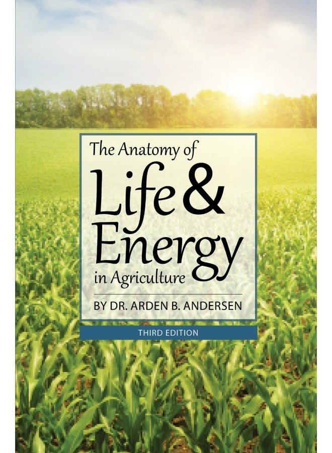 Building Your Biblical Hebrew Vocabulary: Learning Words by Frequency and Cognate - Image 1