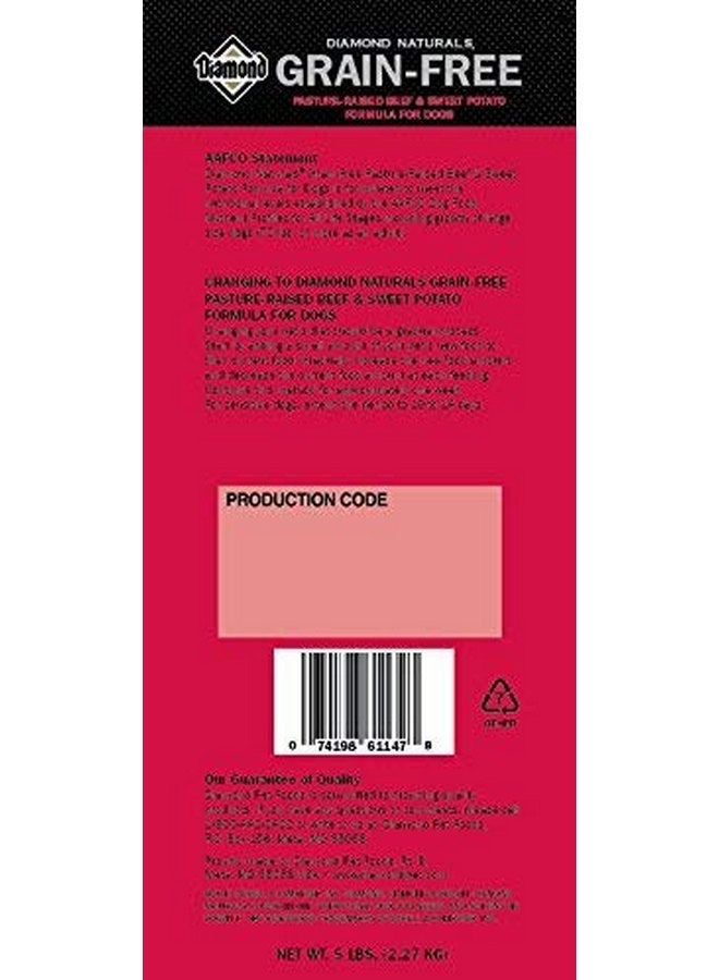 Diamond Naturals Grain Free Real Meat Recipe Premium Dry Dog Food With Real Pasture Raised Beef 5Lb - Image 3