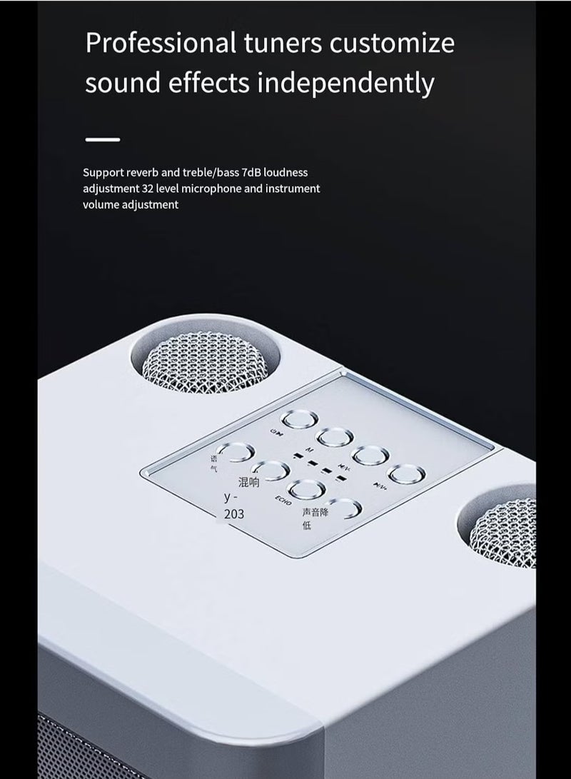 TIGER Karaoke Machine with 2 Wireless Microphones – Portable Bluetooth PA Speaker with Echo & Vocal Cut – Supports TF, AUX-in, USB Flash Disk for Indoor & Outdoor Parties – Perfect for Family Karaoke Singing and Entertainment  - Image 3