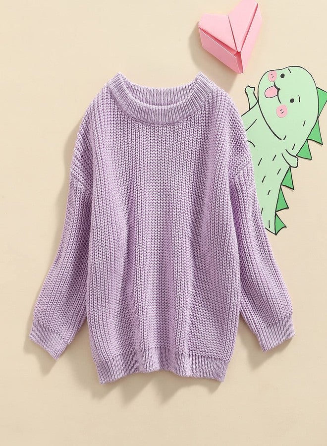 Yoawdats Toddler Baby Girl Boy Long Sleeve Knit Sweater Cute Round Neck Pullover Fall Winter Warm Tops Clothes (Light Purple, 9-12 Months) - Image 2