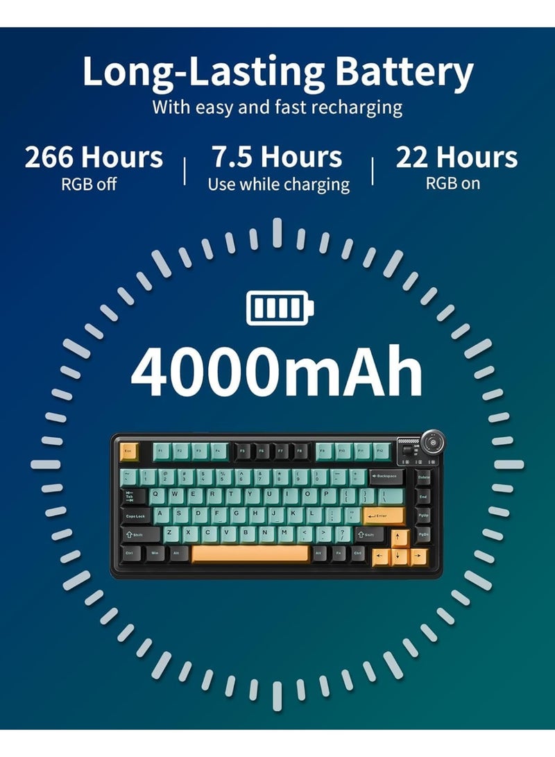 AULA لوحة مفاتيح ميكانيكية لاسلكية ثلاثية الوضع AU75 بتصميم مدمج 75% – لوحة مفاتيح للألعاب قابلة للتبديل مع مفتاح بلومفيلد، بلوتوث، 2.4GHz ووضع سلكي، إضاءة خلفية RGB للألعاب، الكمبيوتر الشخصي واستخدام المكتب - Image 2