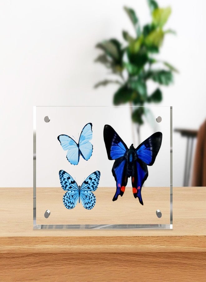 laapee 4x6 Inches Acrylic Picture Frames 1 Pack, Double Sided Magnetic Photo Frames,Free Standing on Desk or Table Clear Picture Frames - Image 2