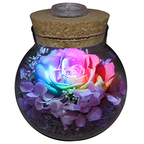 roliys Preserved Real Roses with Colorful Mood Light Wishing BottleEternal RoseNever Withered Flowersfor Bedroom Party Table Decor Christmas AnniversaryValentinesMothers Day Multi