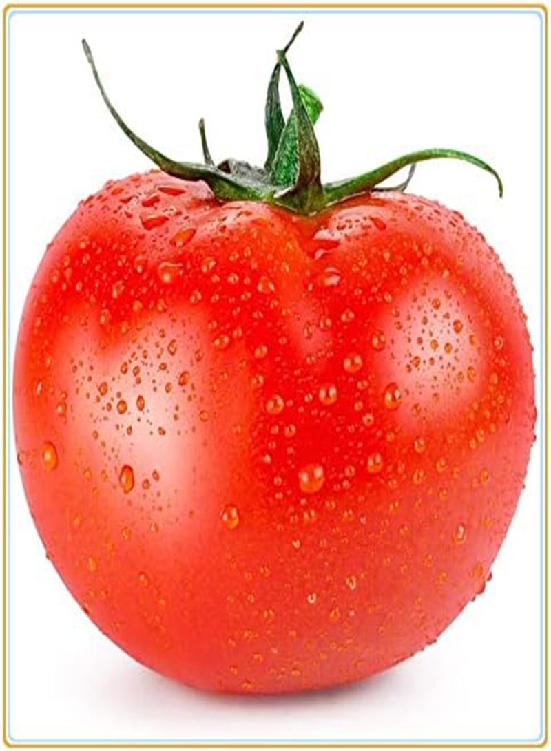 GGOOT Tomato Seeds, Plant Your own Tomatoes, Delicious and Simple to plant-200Pcs - Image 3