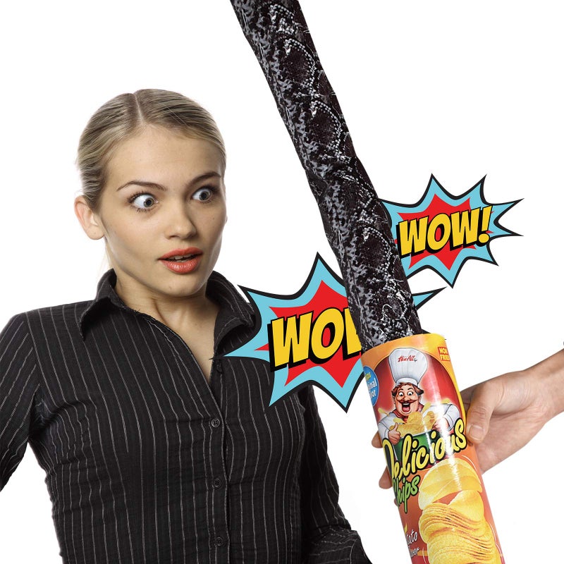 VANVENE Potato Chip Snake In A Can Gag Gift Prank Large Size for April Fools' Day and Halloween - Image 5