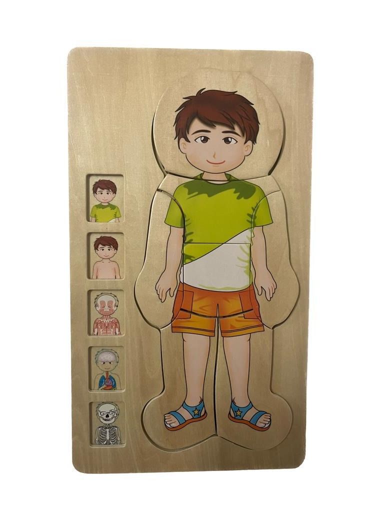 Educational Toy Montessori Photo Composition 36 pieces Multilayer Design Shows The Structure Of The Human Body (Muscles, Bones and Internal Organs)
