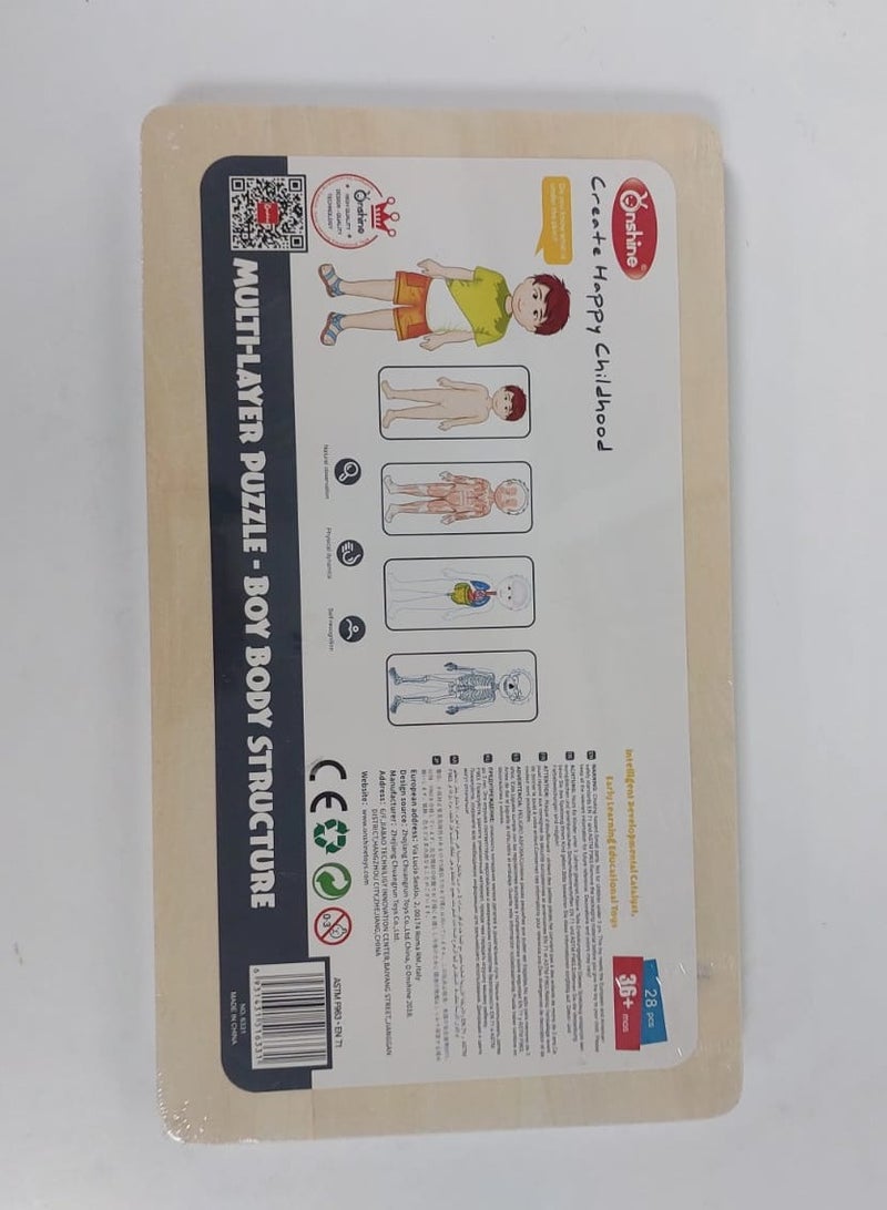 Educational Toy Montessori Photo Composition 36 pieces Multilayer Design Shows The Structure Of The Human Body (Muscles, Bones and Internal Organs)