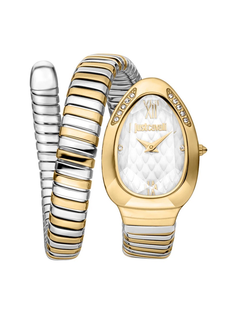 Just Cavalli ساعة نسائية أنالوج كوارتز فضية وذهبية من الفولاذ المقاوم للصدأ - Image 1