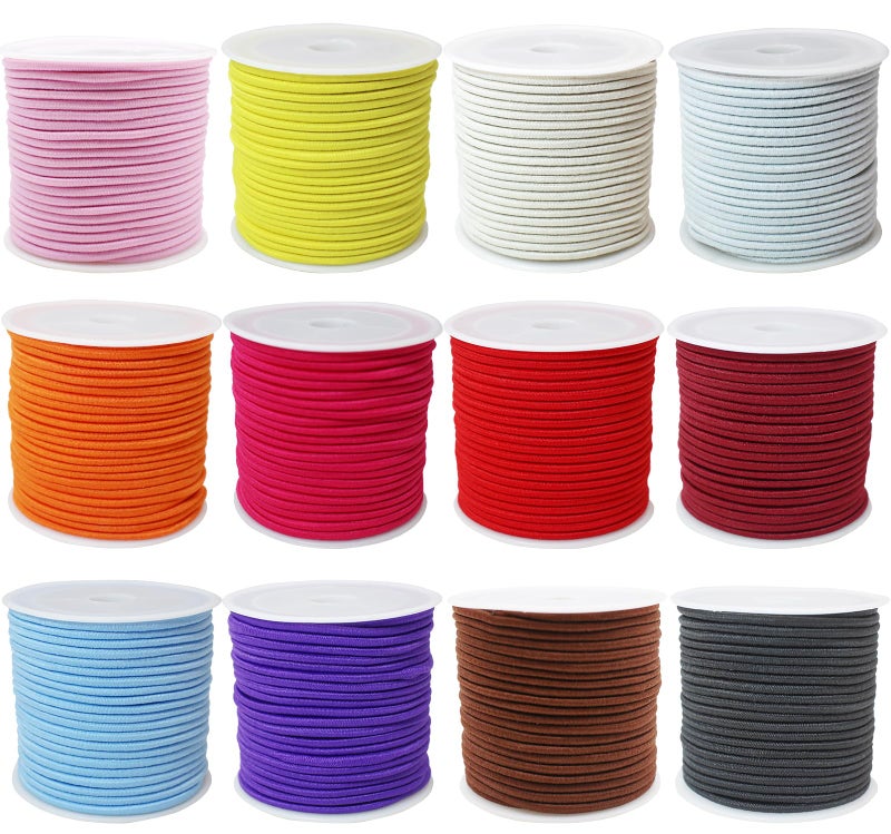 ZHFMLY 12rolls Colored Elastic Stretch String Assortment 2mm 300ft Elastic Round Beaded Cord Small Bungee Shock Cord for Pony Silicone Beads Large Hole Bead Keychain Bracelet DIY Crafts & Sewing (ZH169) - Image 1