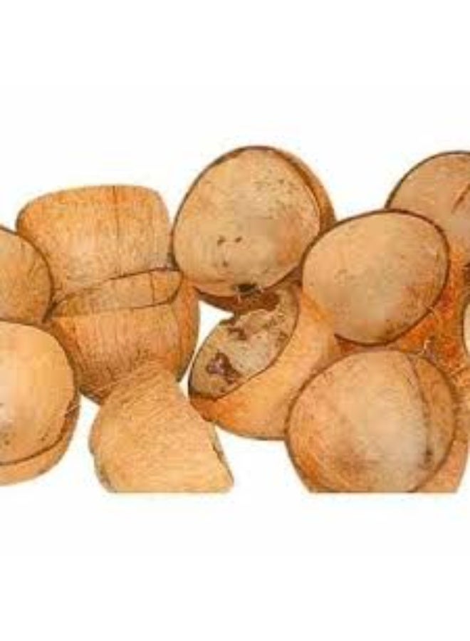 Coco care RAW COCONUT SHELL FOR ARTWORKS - Image 2