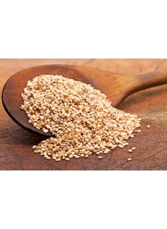 US Organic زيت السمسم، عضوي معتمد، غير محمص، غير مكرر، نقي وطبيعي، معصور على البارد، في زجاجة زجاجية كهرمانية مع قطارة زجاجية (2 أونصة (صغيرة)) - Image 3