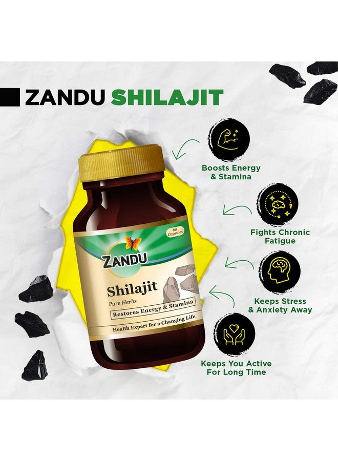 Zandu كبسولات زاندو شيلجيت، 60 كبسولة × Po2، شيلجيت هيمالايا الأصلي والنقي، يعزز المناعة والقوة والقدرة على التحمل. - Image 3