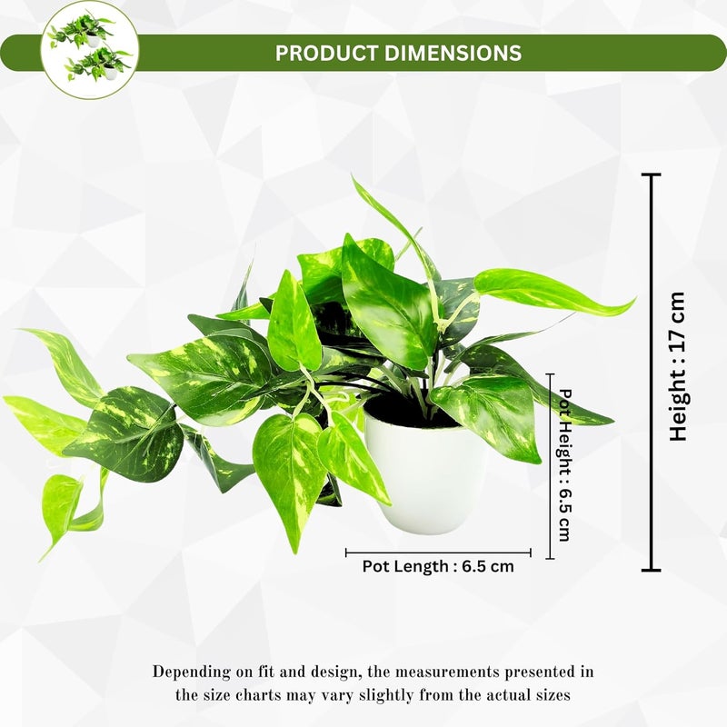 fancymart Plastic Artificial Money Plant Leaves Falling in Pot, Home and Office Decor Item for Desk & Wall Shelves, Green & White - Image 4