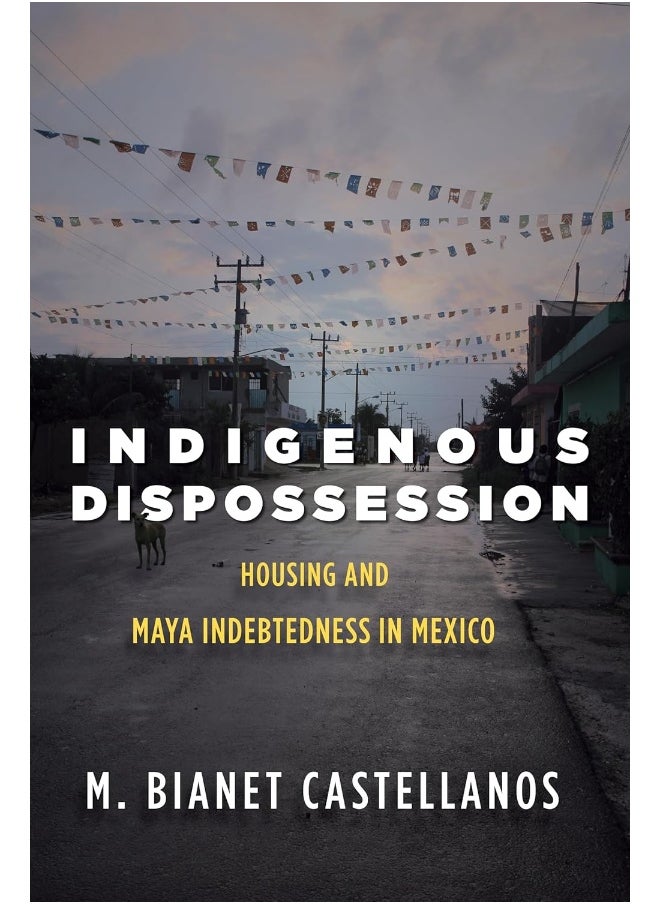 null - Indigenous Dispossession: Housing and Maya Indebtedness in Mexico - Image 1