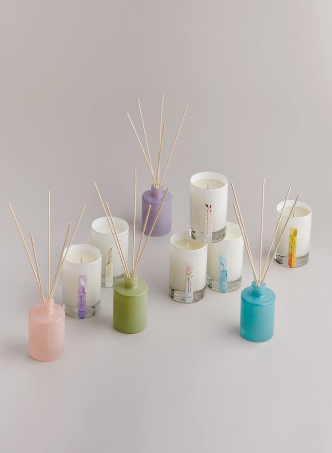 تايمز موزع روائح صغير من ثايمز - 4 أونصة سائلة - أوكالبتوس - Image 5