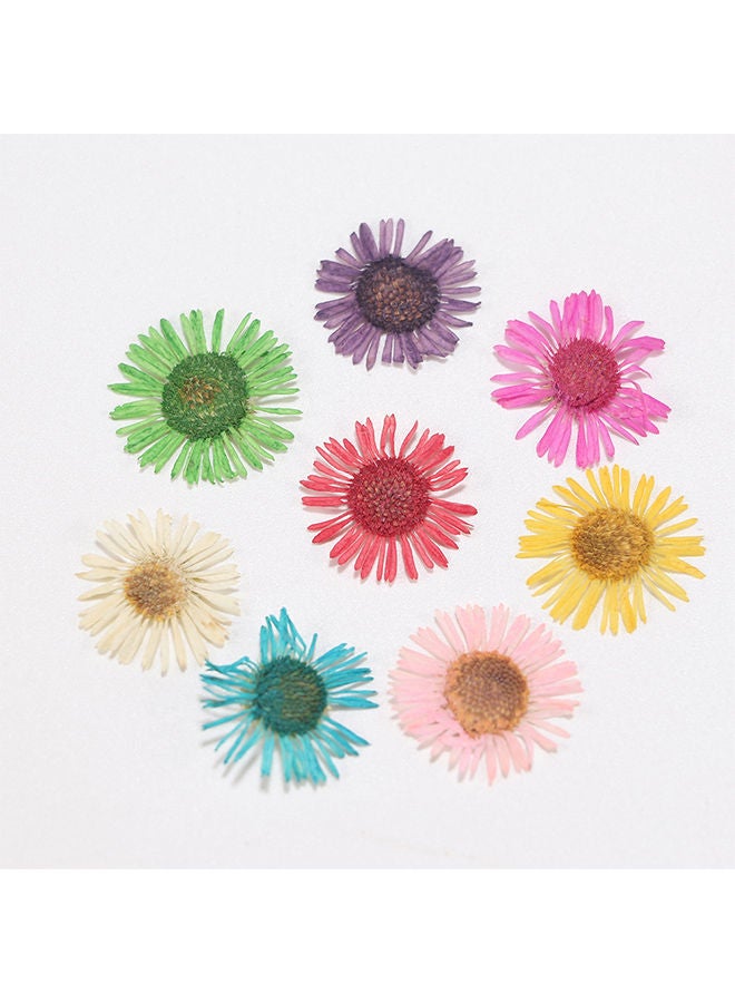 NIBEMINENT 3D Dried Flowers Nail Decoration Sticker Multicolour - Image 2