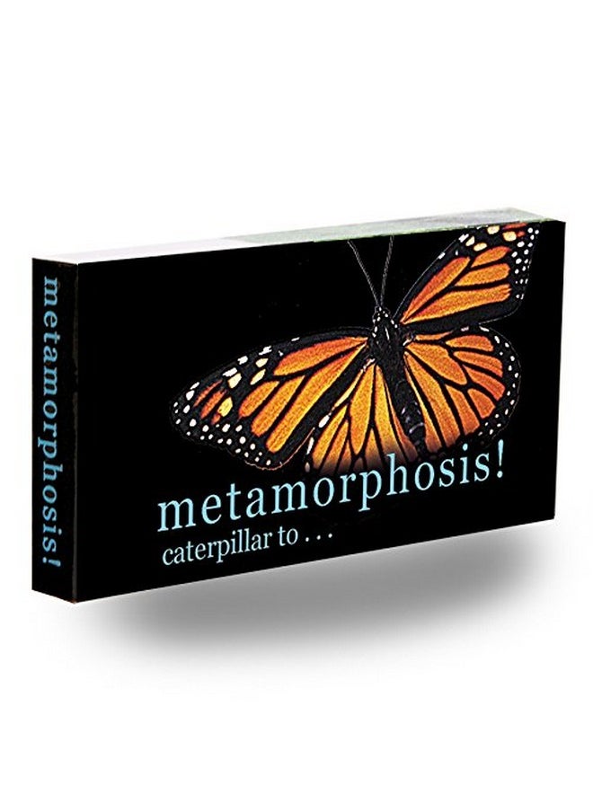Fliptomania - Caterpillar To Monarch Butterfly Metamorphosis Flipbook - Image 1
