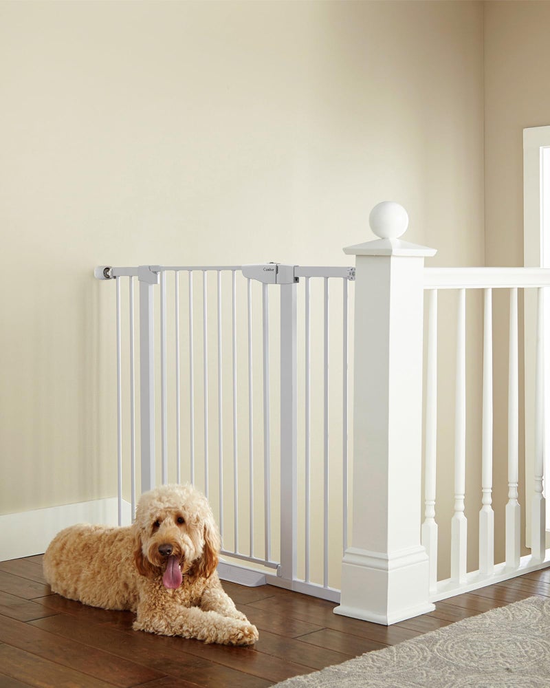 Cumbor 36" Extra Tall Baby Gate for Dogs and Kids with Wide 2-Way Door, 29.7"- 46" Width, and Auto Close Personal Safety for Babies and Pets, Fits Doorways, Stairs, and Entryways, White - Image 1