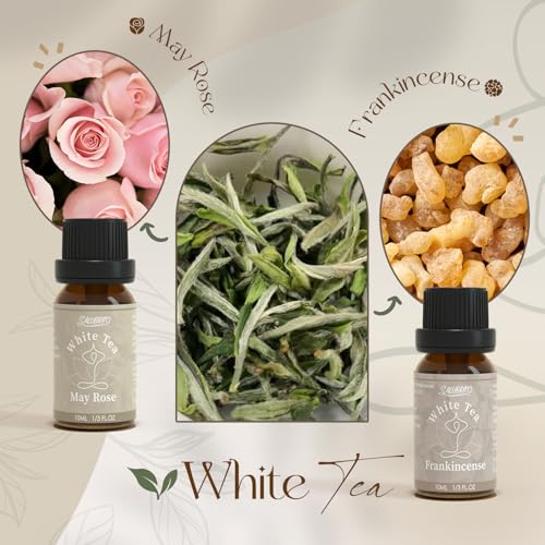 SALUBRITO Zen Fragrance Oil Set, Tea Essential Oil for Diffuser, Candle, Soap Making, White Tea, Black Tea, Green Tea Blended with Rose, Bamboo, Lavender, Sandalwood, Frankincense, Citrus Scented Oil - Image 4