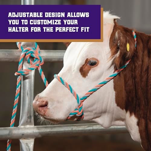 Weaver Livestock Braided Poly Rope Cattle Halter, Adjustable, Modern Style Cow Calf Halter, Livestock Handling Equipment for Showing, Coral/Gray/Teal - Image 4