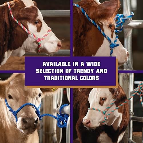 Weaver Livestock Braided Poly Rope Cattle Halter, Adjustable, Modern Style Cow Calf Halter, Livestock Handling Equipment for Showing, Coral/Gray/Teal - Image 5